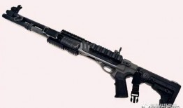 和平精英最新爆料新枪械,神秘性能引发热议，玩家期待新战场霸主