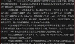 河北爆料最新消息新闻报道,聚焦重大新闻事件深度解析